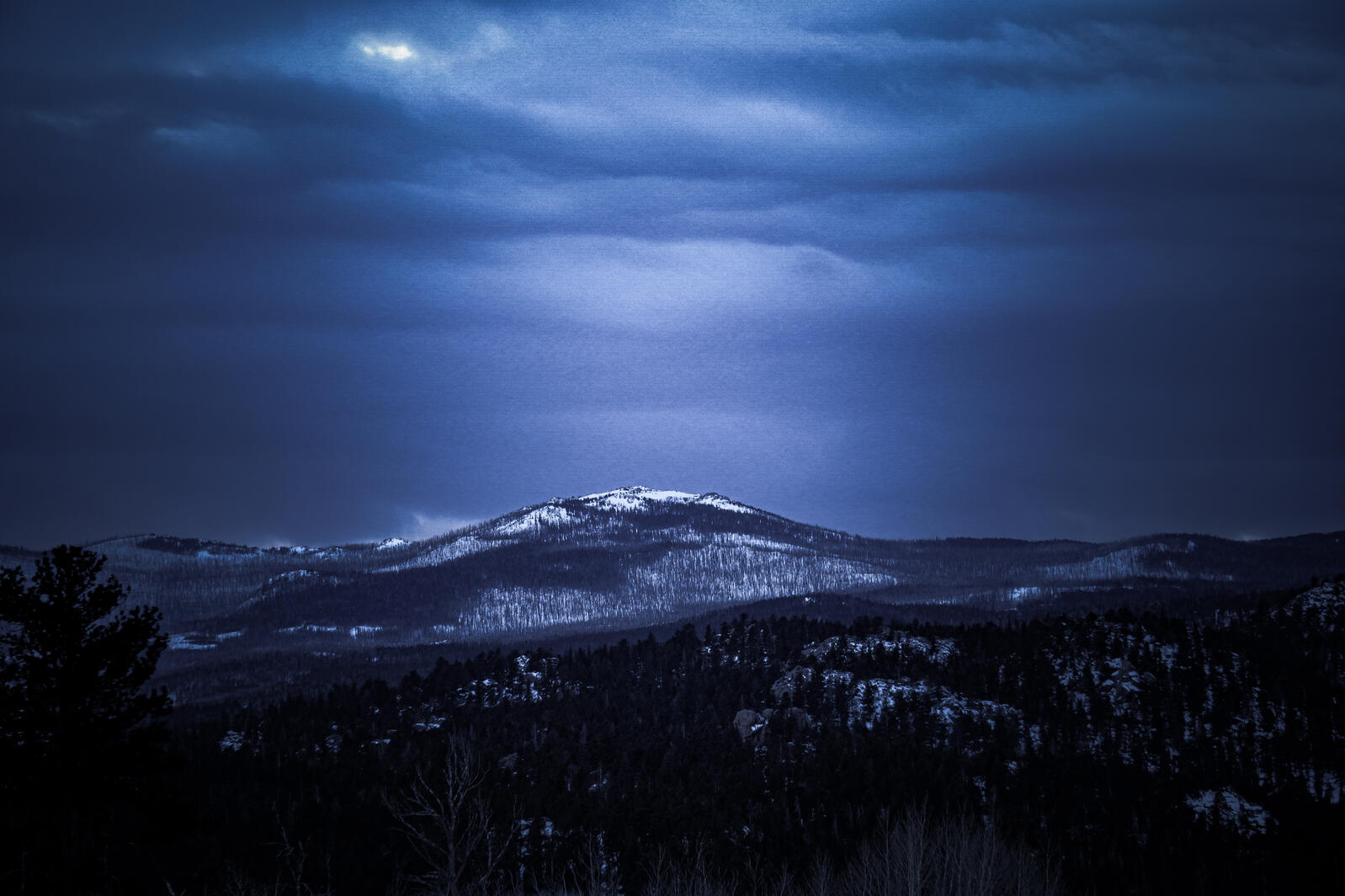 Untitled Untitled